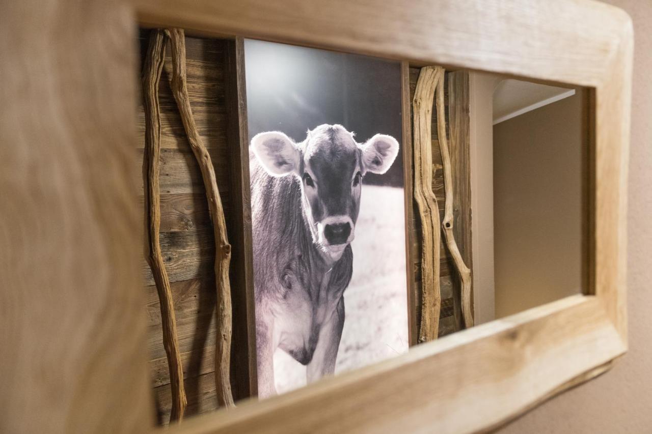 Chalet Alpin Oberstdorf Extérieur photo